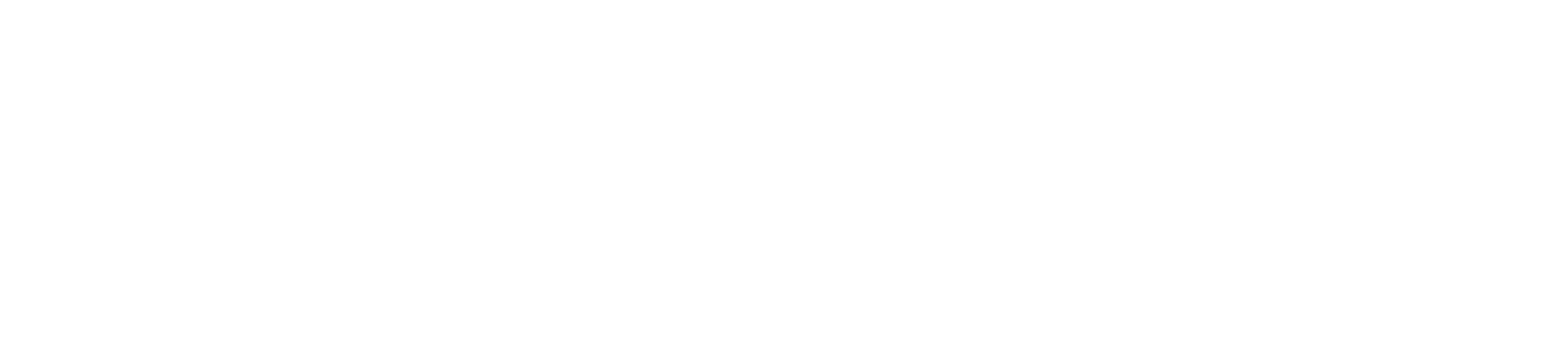 ZEVA Logo